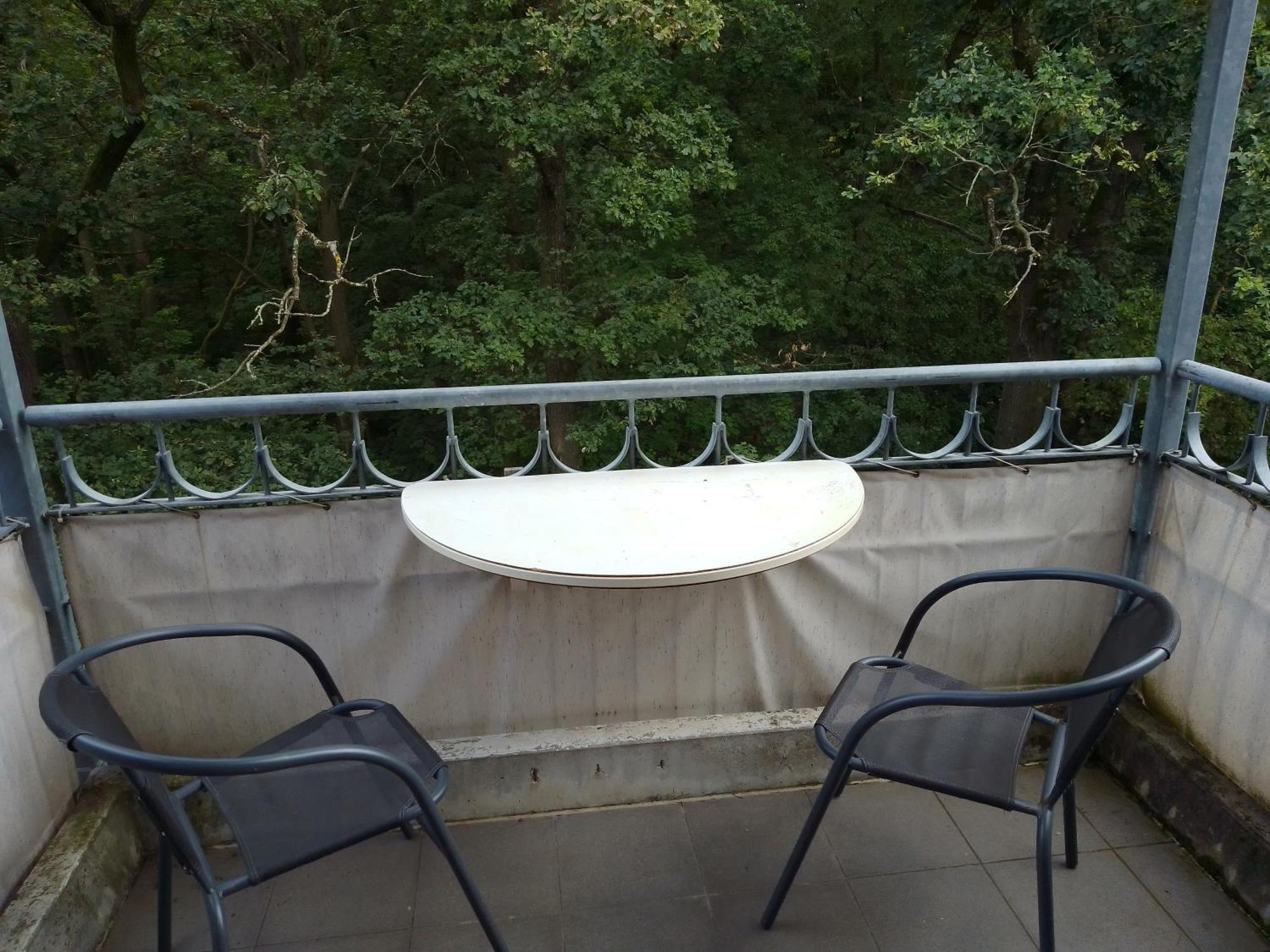 Apartment Preisselpoehl Plauen Ngoại thất bức ảnh